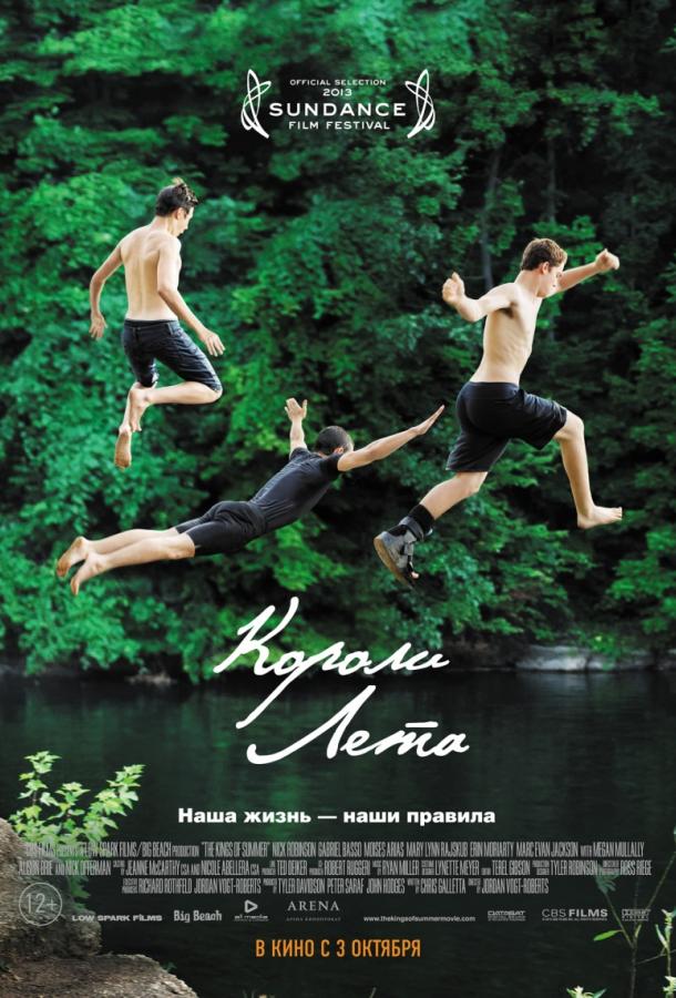 Постер к Короли лета (2013)