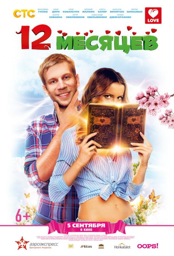 Постер к 12 месяцев (2013)
