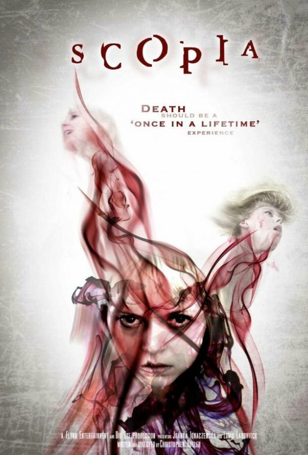 Постер к Эффект Скопии (2014)