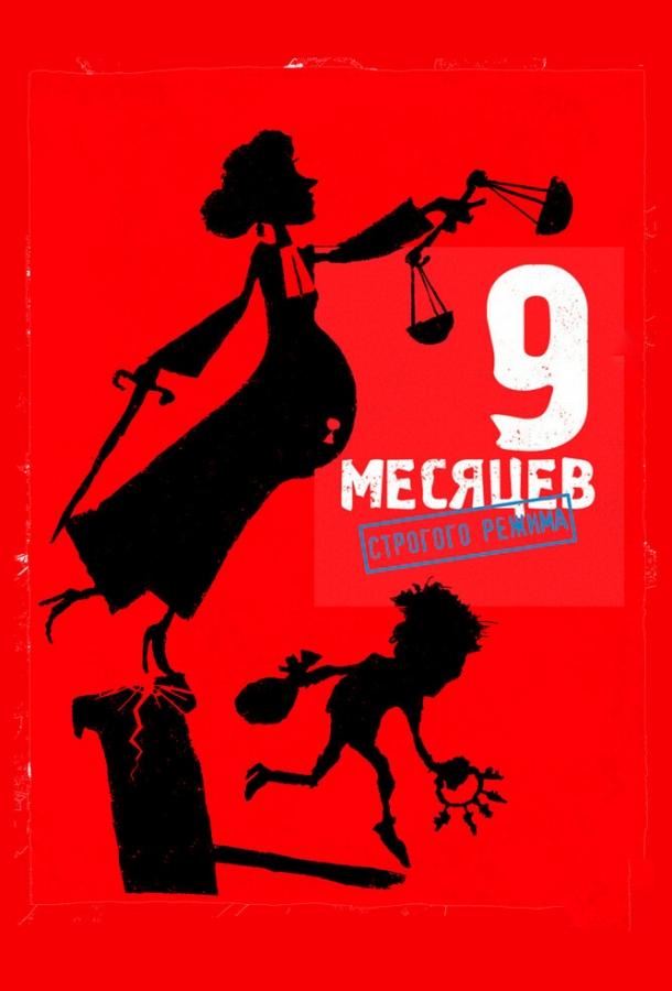 Постер к 9 месяцев строгого режима (2013)