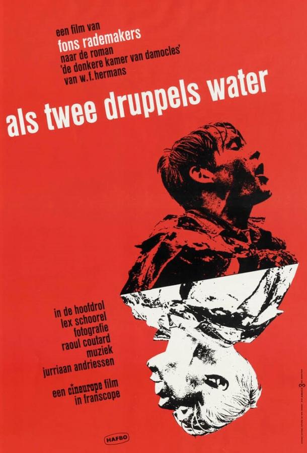Постер к Как две капли воды (1963)
