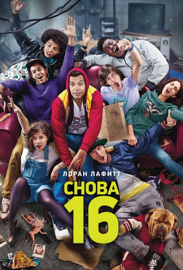 Постер к Снова 16 (2013)