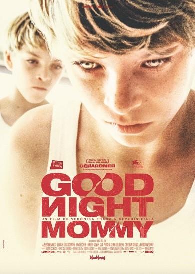 Постер к Спокойной ночи, мамочка (2014)