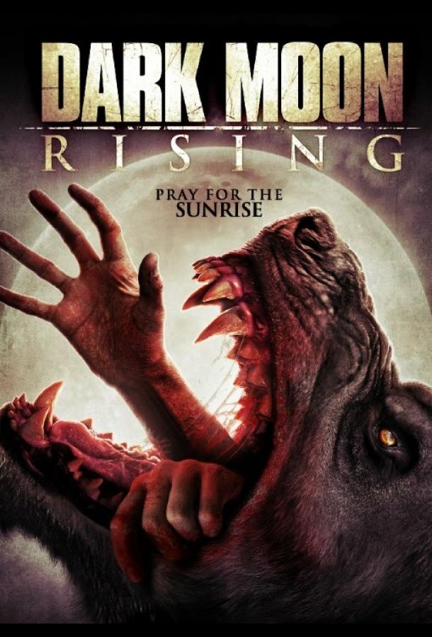 Постер к Восход тёмной луны (2015)
