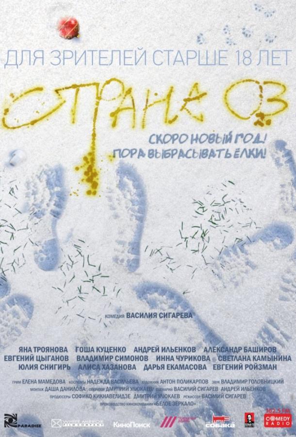 Постер к Страна ОЗ (2015)