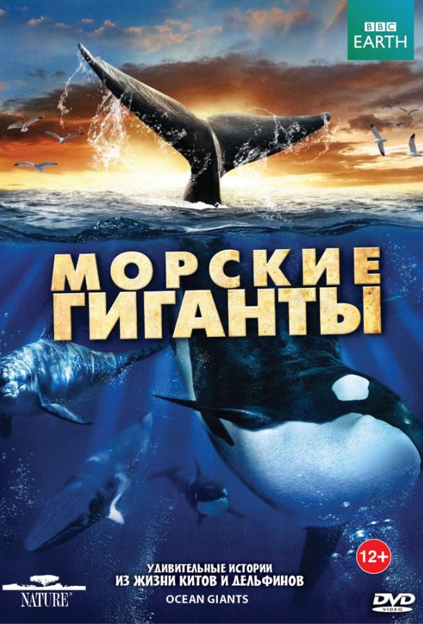 Постер к BBC: Морские гиганты (1 сезон)