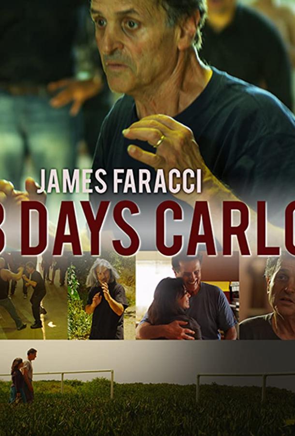 Постер к Восемь дней Карло (2016)