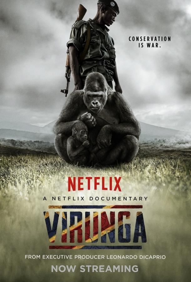 Постер к Вирунга (2014)