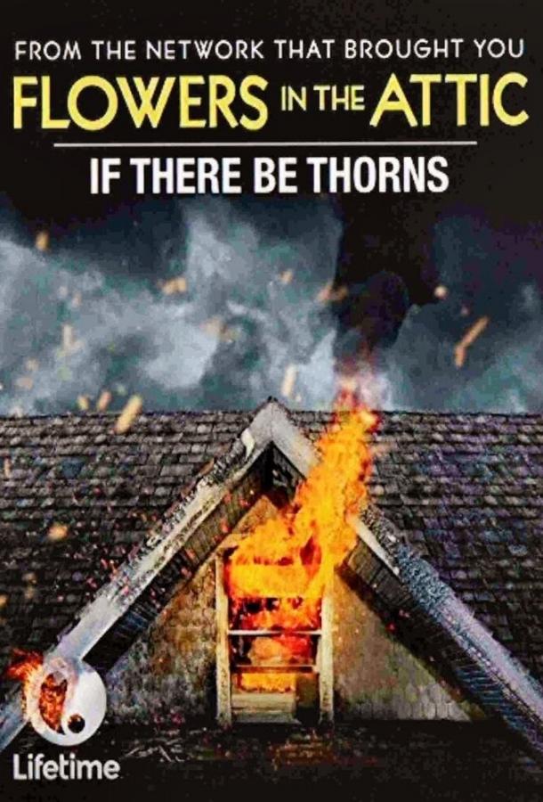 Постер к Сквозь тернии (2015)