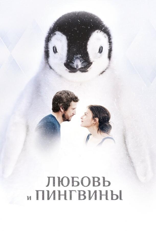Постер к Любовь и пингвины (2016)
