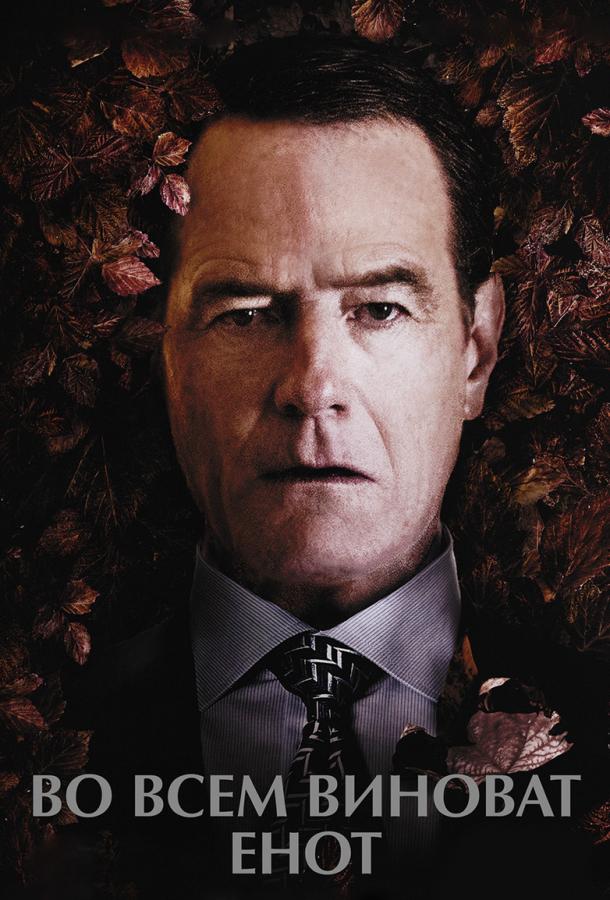 Постер к Во всем виноват енот (2016)