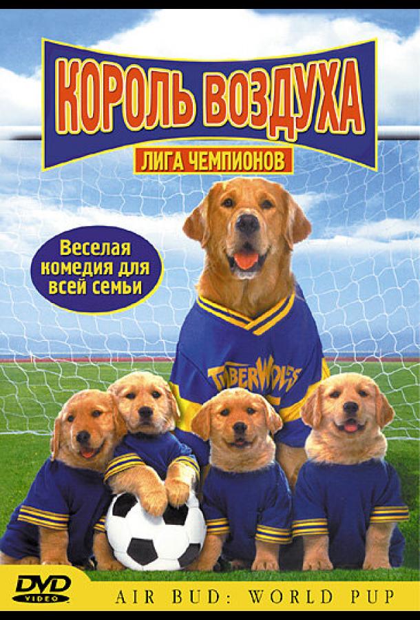 Постер к Король воздуха: Лига чемпионов (2000)