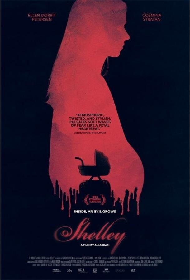 Постер к Шелли (2016)