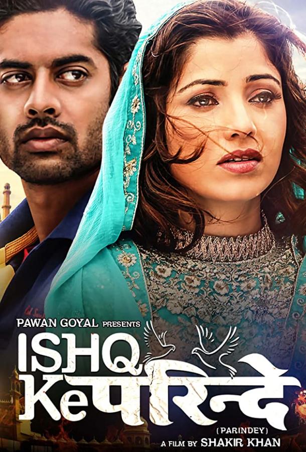 Постер к Любовь не знает границ (2015)