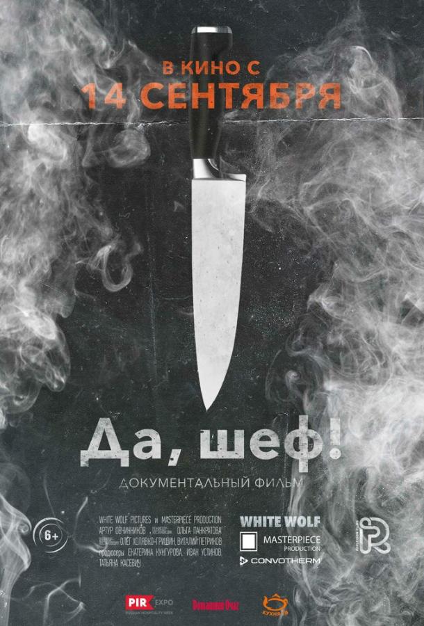Постер к Да, шеф! (2017)