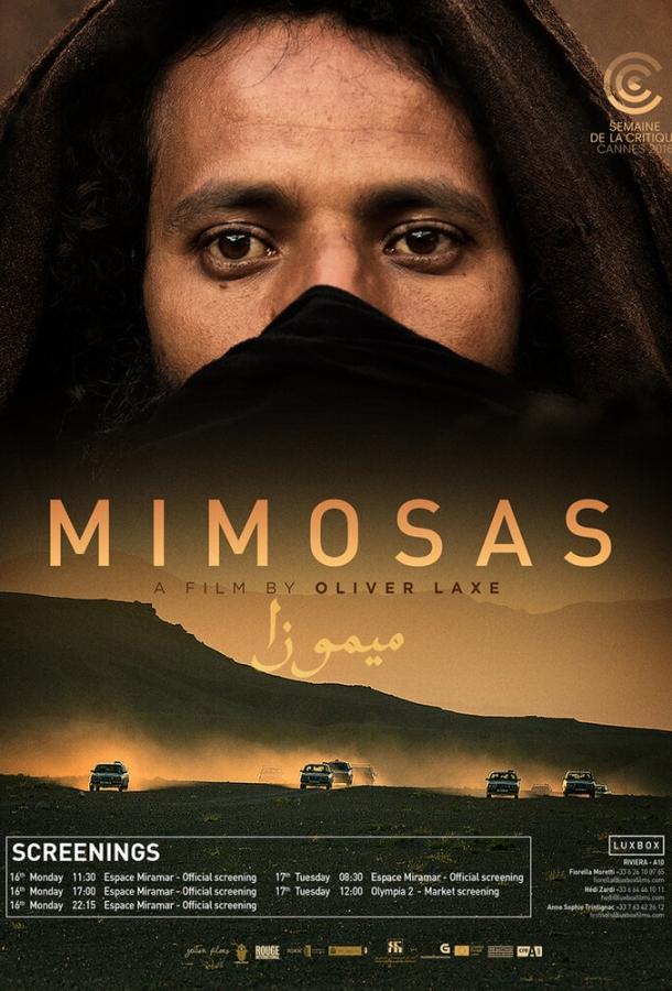 Постер к Мимозы (2016)