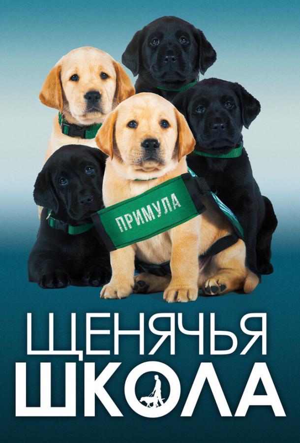 Постер к Щенячья школа (2018)