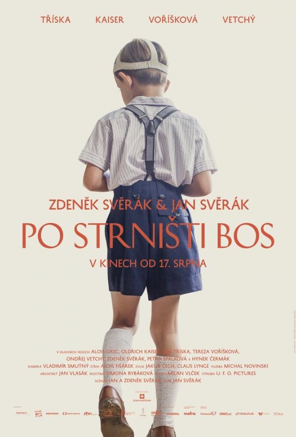 Постер к Босиком по стерне (2017)
