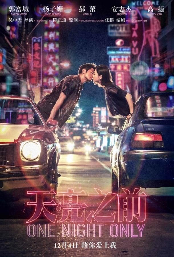 Постер к Только одна ночь (2016)
