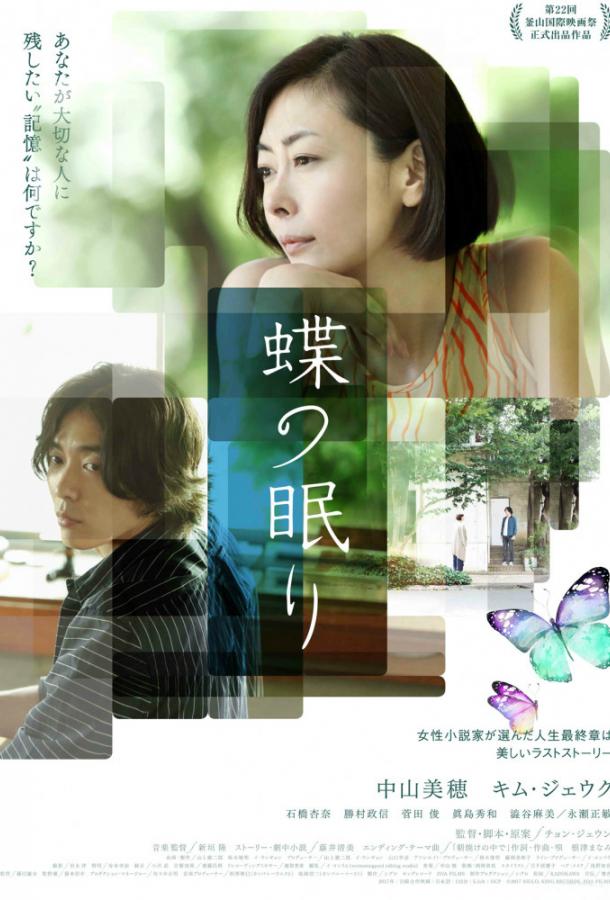 Постер к Сон бабочки (2017)