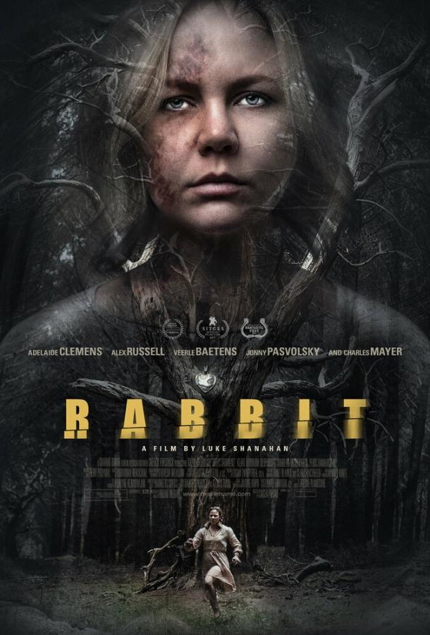 Постер к Кролик (2017)