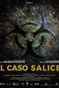 Постер к Дело Саличе (2020)