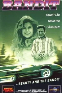 Постер к Красавица и бандит (1994)