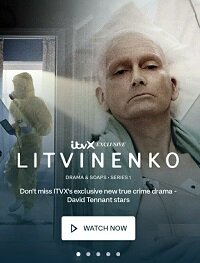 Постер к Литвиненко (1 сезон)